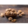 Organic Walnut Kernels in shell PDO From Perigord - direct producer