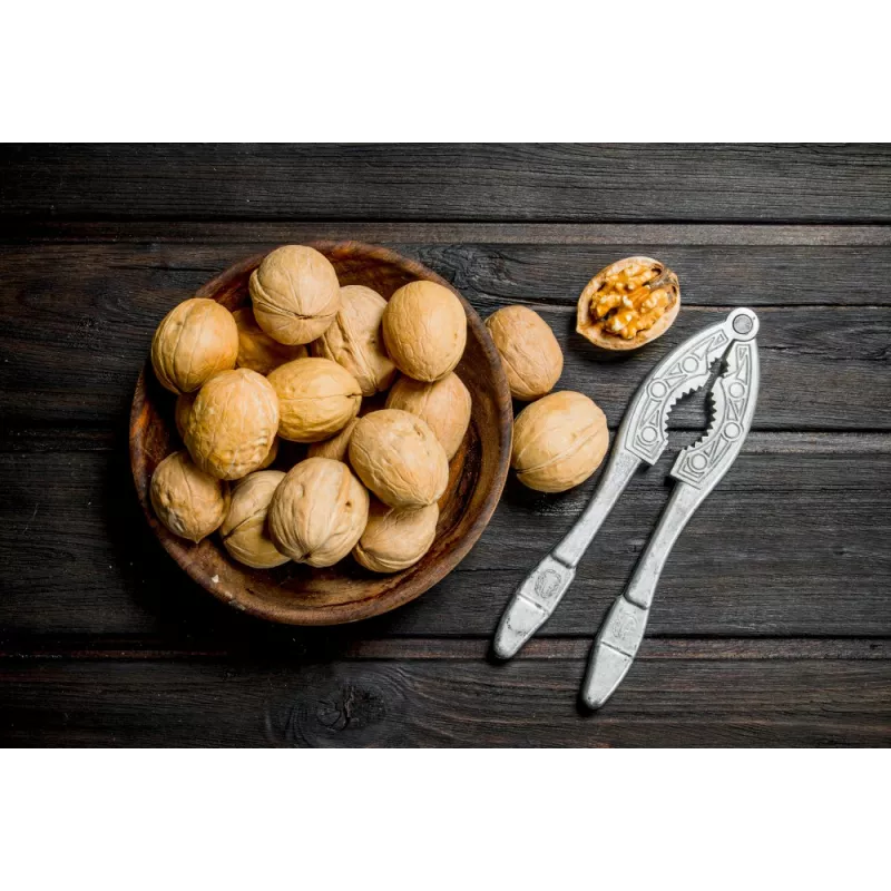 Cerneaux De Noix Bio en coque AOC AOP Du Périgord - direct producteur
