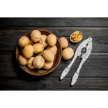 Cerneaux De Noix Bio en coque AOC AOP Du Périgord - direct producteur
