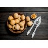 Organic Walnut Kernels in shell PDO From Perigord - direct producer