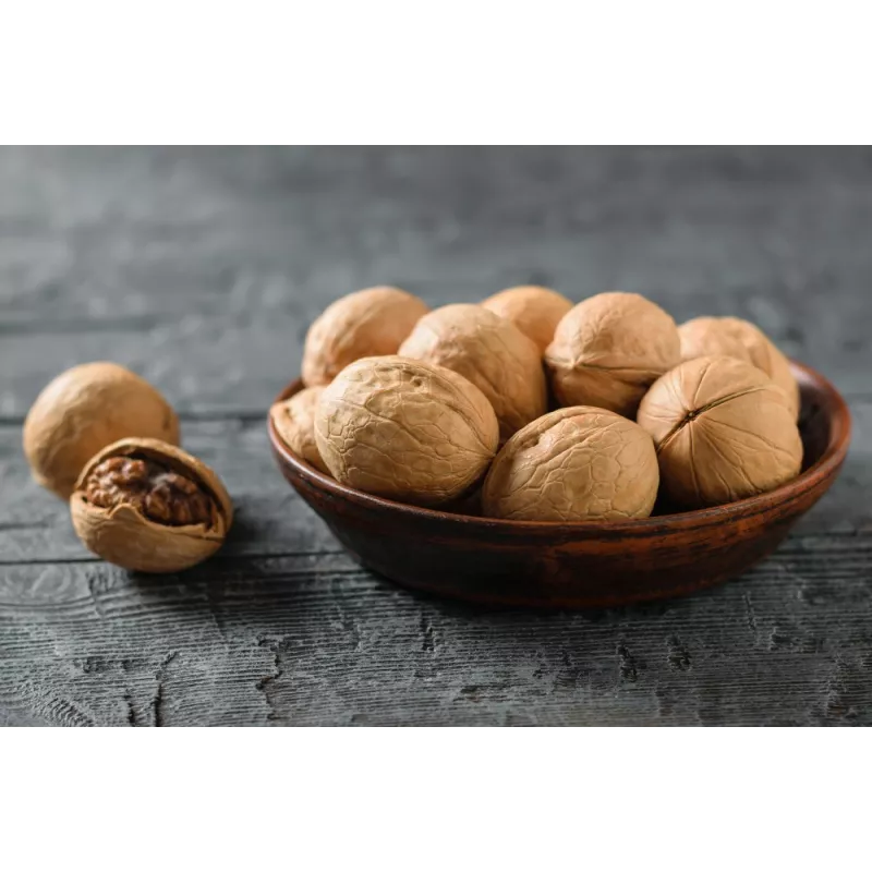 Organic Walnut Kernels in shell PDO From Perigord - direct producer