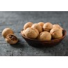 Organic Walnut Kernels in shell PDO From Perigord - direct producer