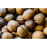 Cerneaux De Noix Bio en coque AOC AOP Du Périgord - direct producteur