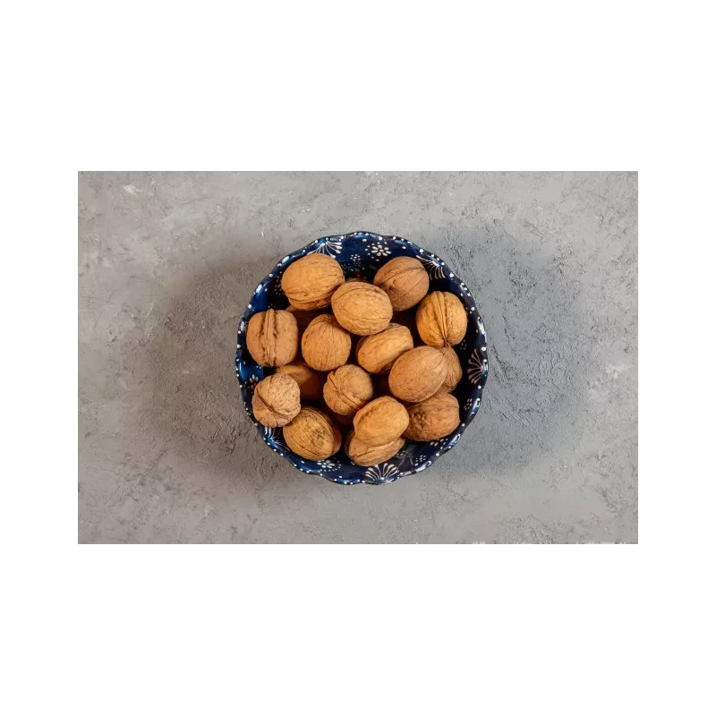 Cerneaux De Noix Bio en coque AOC AOP Du Périgord - direct producteur
