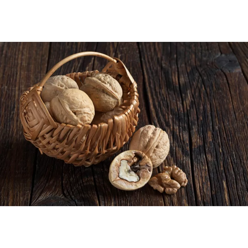 Cerneaux De Noix Bio en coque AOC AOP De Grenoble - direct producteur