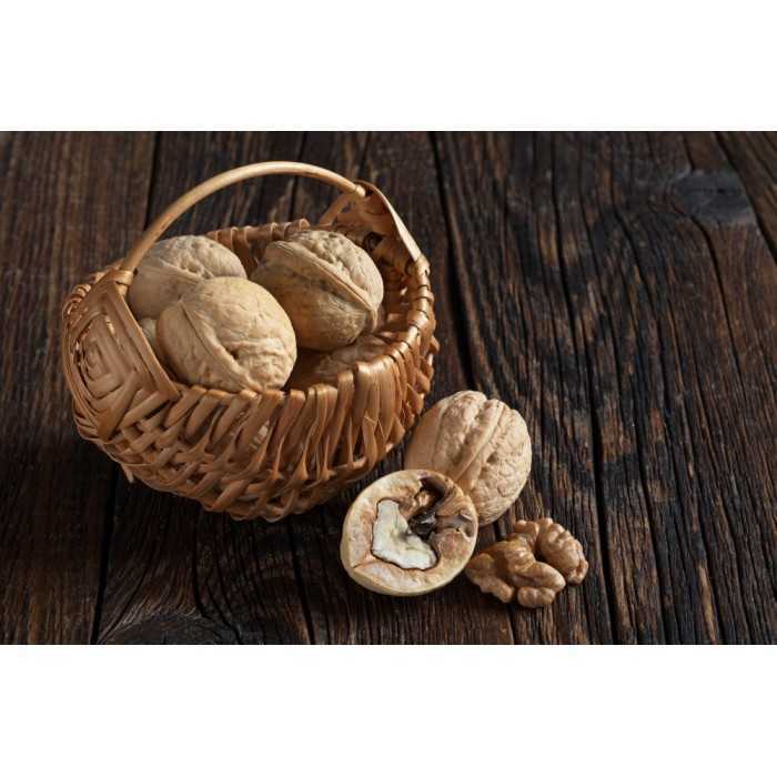 Organic Walnut Kernels in shell PDO From Grenoble - direct producer