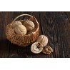 Organic Walnut Kernels in shell PDO From Grenoble - direct producer