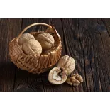 Organic Walnut Kernels in shell PDO From Grenoble - direct producer