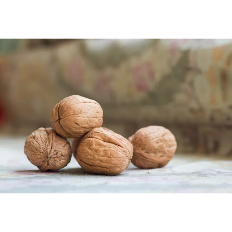 Organic Walnut Kernels in shell PDO From Grenoble - direct producer