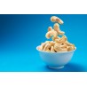 Organic & Fairtrade & Forest Garden Raw Cashew Nuts from Vietnam