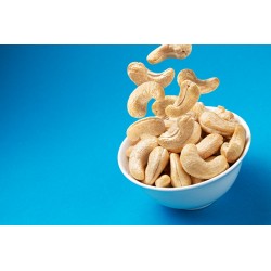 Organic & Fairtrade Raw Cashew Nuts from Sri Lanka
