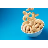 Organic & Fairtrade & Forest Garden Raw Cashew Nuts from Vietnam