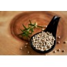 Organic fairtrade white pepper PGI from Kampot - direct producer