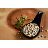 Poivre blanc bio fairtrade IGP de Kampot - direct producteur