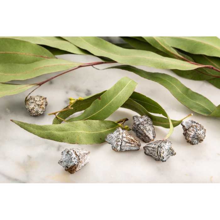Organic dried eucalyptus leaves from Portugal