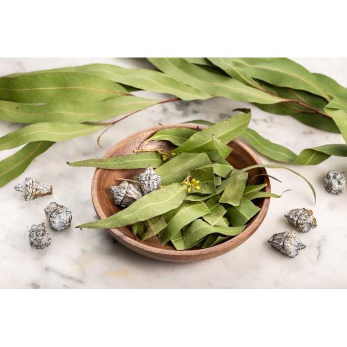 Organic dried eucalyptus leaves from Portugal