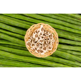 Graines de Moringa naturelles & équitables d'Haïti - Direct producteur
