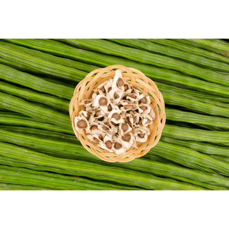 Graines de Moringa naturelles & équitables d'Haïti - Direct producteur
