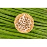 Graines de Moringa naturelles & équitables d'Haïti - Direct producteur