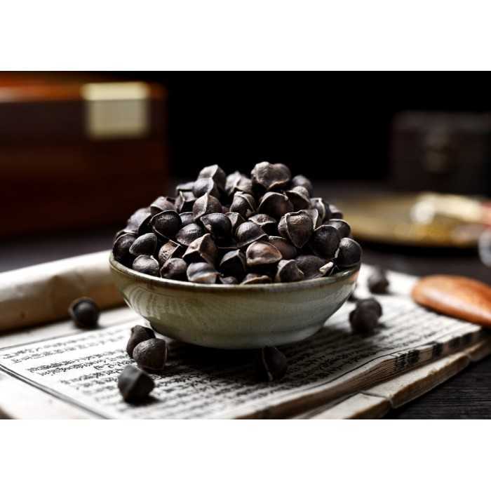 Natural & fair trade Moringa seeds from Haïti - Direct producer