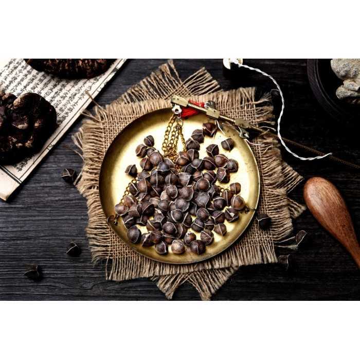 Graines de Moringa naturelles & équitables d'Haïti - Direct producteur