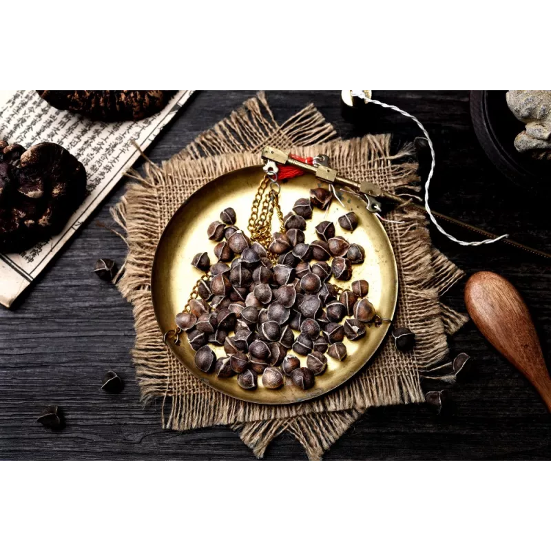 Graines de Moringa naturelles & équitables d'Haïti - Direct producteur
