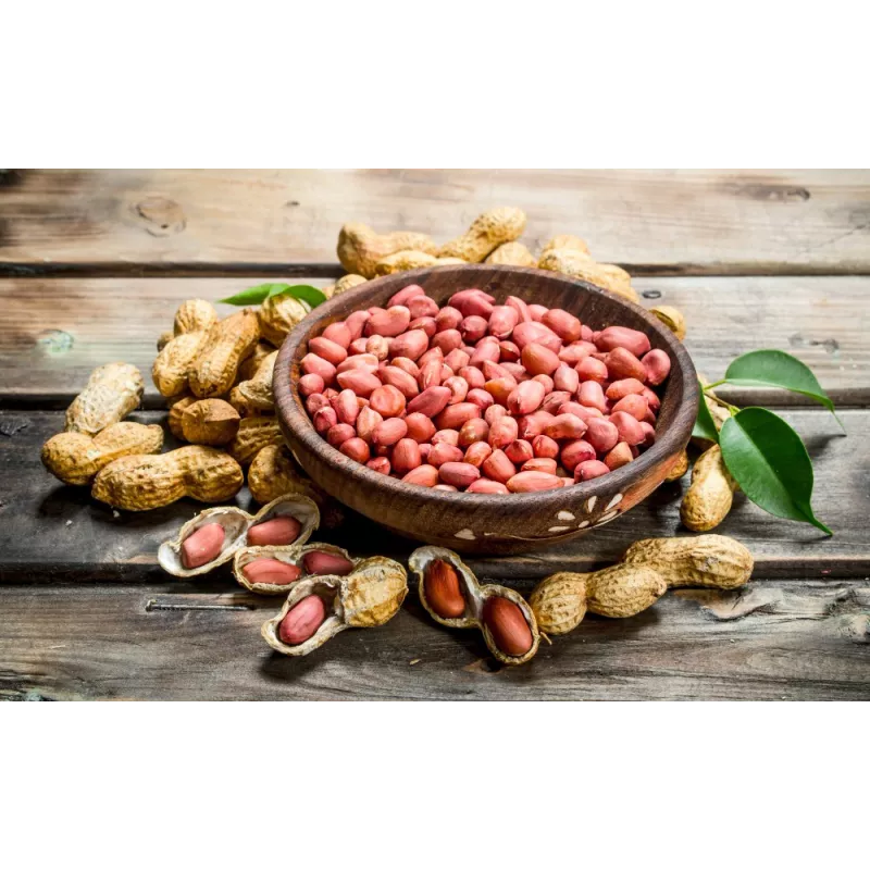Cacahuètes ou arachides crues bio & fairtrade d'Ouzbékistan