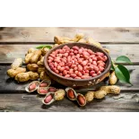 Cacahuètes ou arachides crues bio & fairtrade d'Ouzbékistan