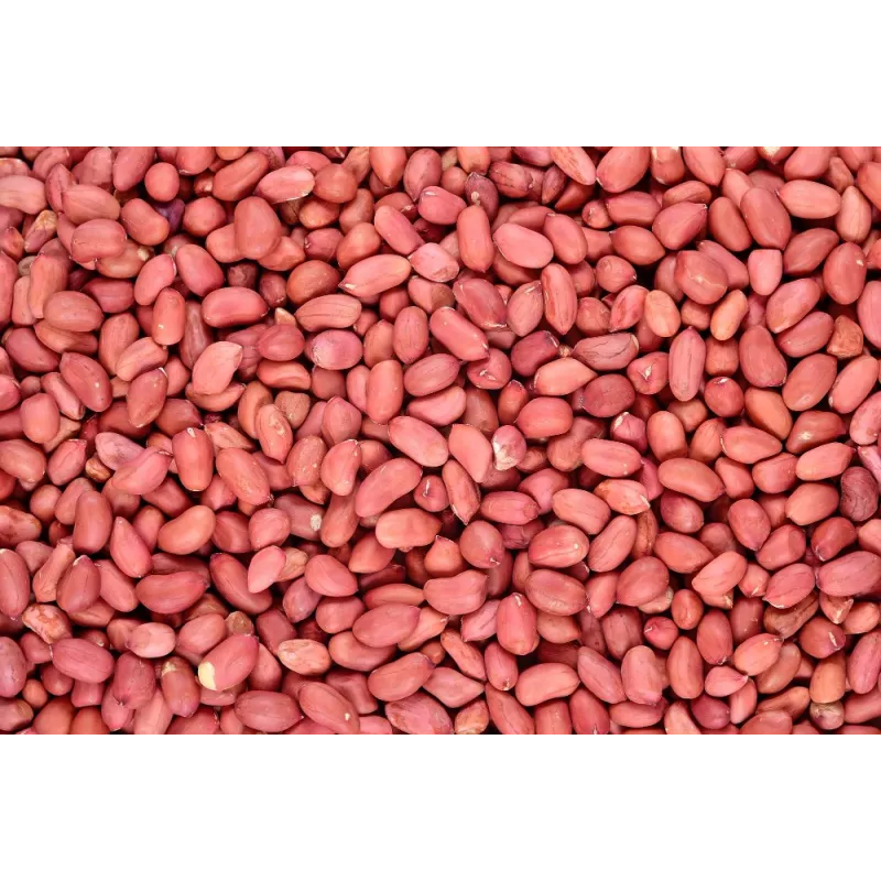 Cacahuètes ou arachides crues bio & fairtrade d'Ouzbékistan