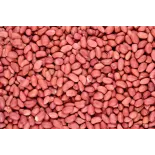 Cacahuètes ou arachides crues bio & fairtrade d'Ouzbékistan