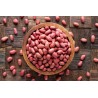 Organic & fairtrade raw peanuts from Uzbekistan