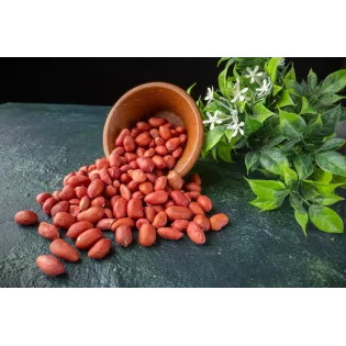 Cacahuètes ou arachides crues bio & fairtrade d'Ouzbékistan