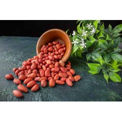 Organic & fairtrade raw peanuts from Uzbekistan