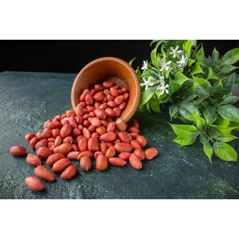 Organic & fairtrade raw peanuts from Uzbekistan Organic & fairtrade raw peanuts from Uzbekistan
