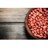 Organic & fairtrade raw peanuts from Uzbekistan