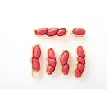 Cacahuètes ou arachides crues bio & fairtrade d'Ouzbékistan