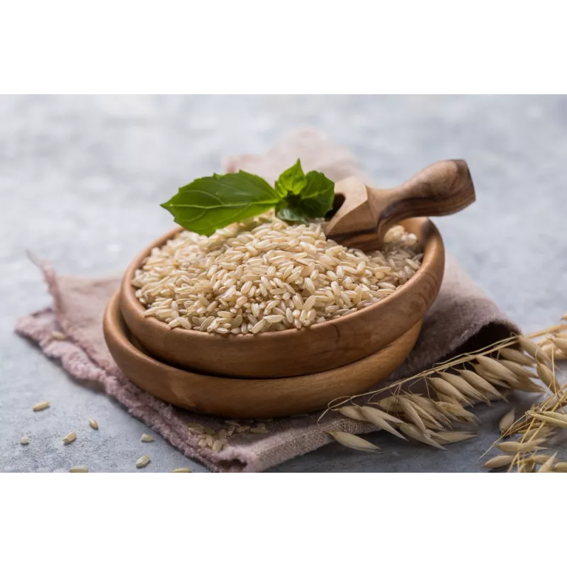 Organic parboiled rice PGI from Camargue - direct producer
