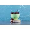 Organic dried Pitted mirabelle plums Label rouge & PGI from Lorrain...
