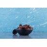 Organic dried Pitted mirabelle plums Label rouge & PGI from Lorrain...