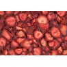 Organic Label rouge dried strawberries from Lot et Garonne - Direct...