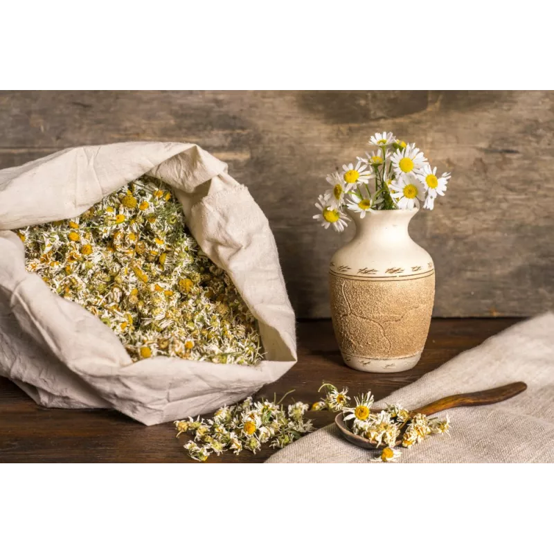Fleurs de camomille allemande séchées bio De France - Direct produc...