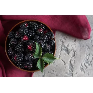 Mulberries noires séchées bio & équitables d'Ouzbékistan
