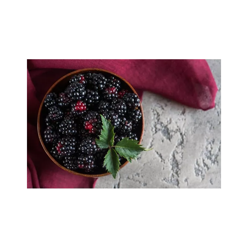 Mulberries noires séchées bio & équitables d'Ouzbékistan Mulberries noires séchées bio & équitables d'Ouzbékistan