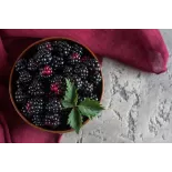 Organic & fair trade dried black mulberries from Uzbekistan