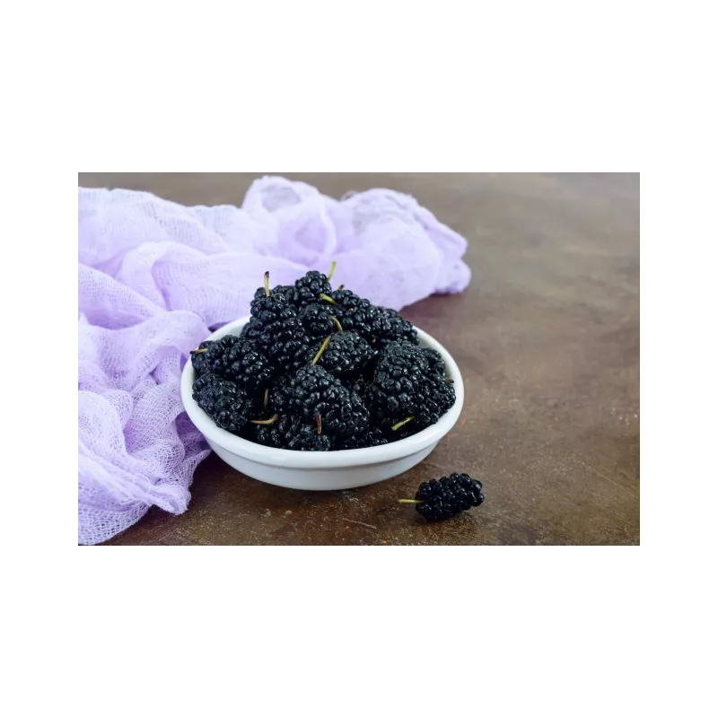 Organic & fair trade dried black mulberries from Uzbekistan