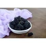 Organic & fair trade dried black mulberries from Uzbekistan