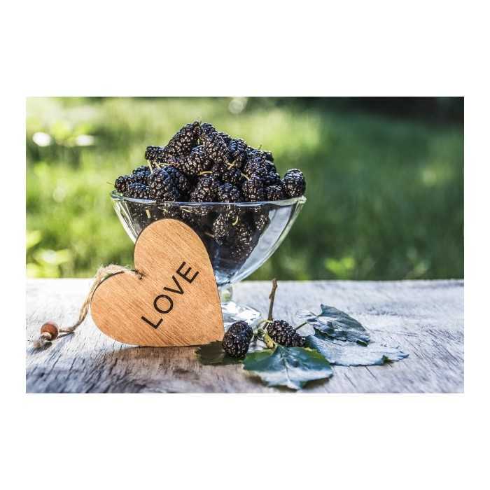 Organic & fair trade dried black mulberries from Uzbekistan