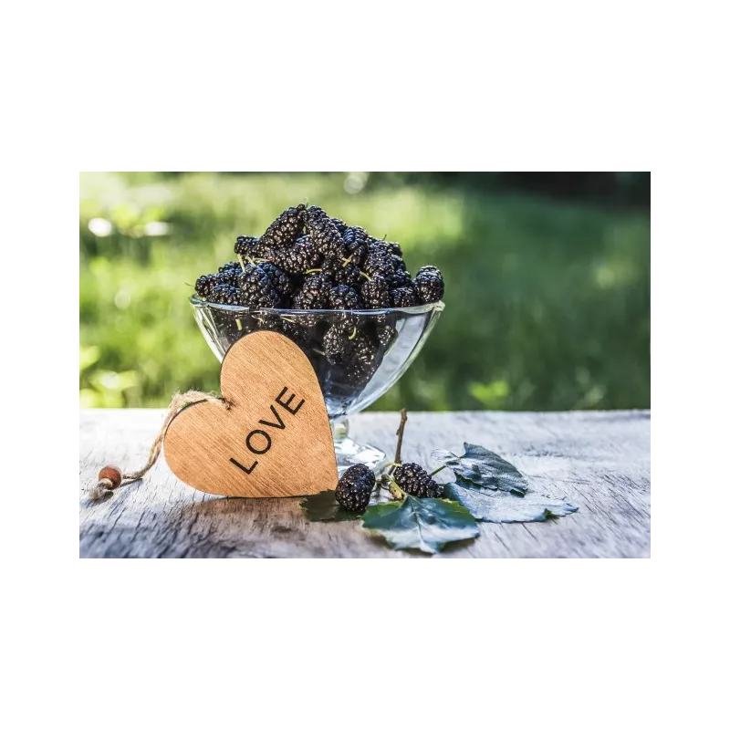 Organic & fair trade dried black mulberries from Uzbekistan