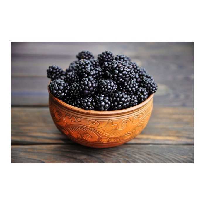 Organic & fair trade dried black mulberries from Uzbekistan