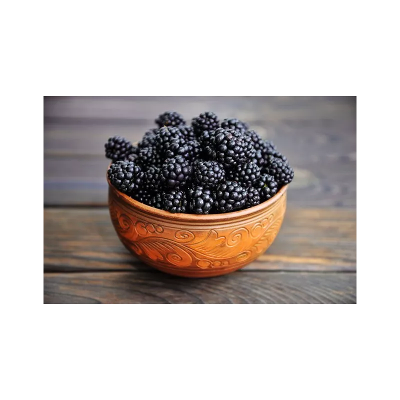Organic & fair trade dried black mulberries from Uzbekistan